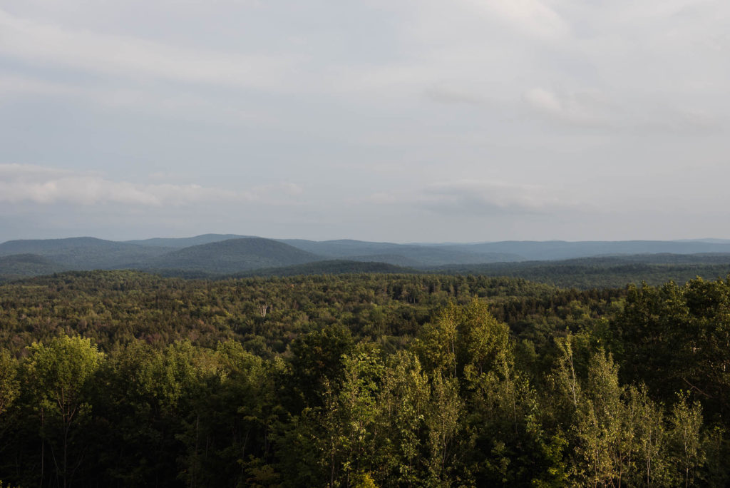 overlook across vermont forest from highway 101 picture by megan cieloha
