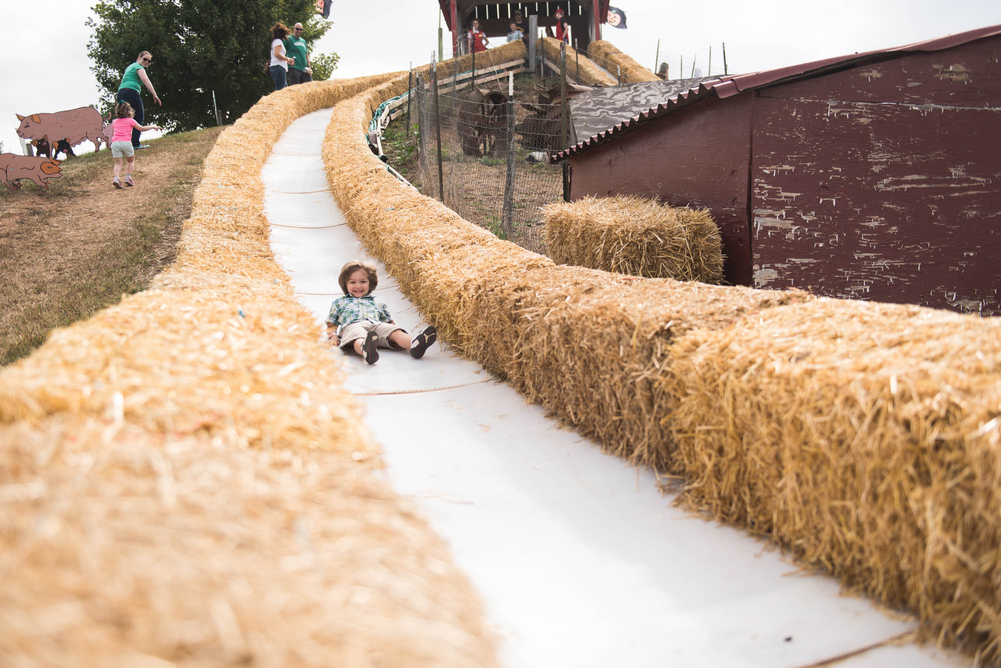 pictures of fall farm activities in Virginia by megan cieloha