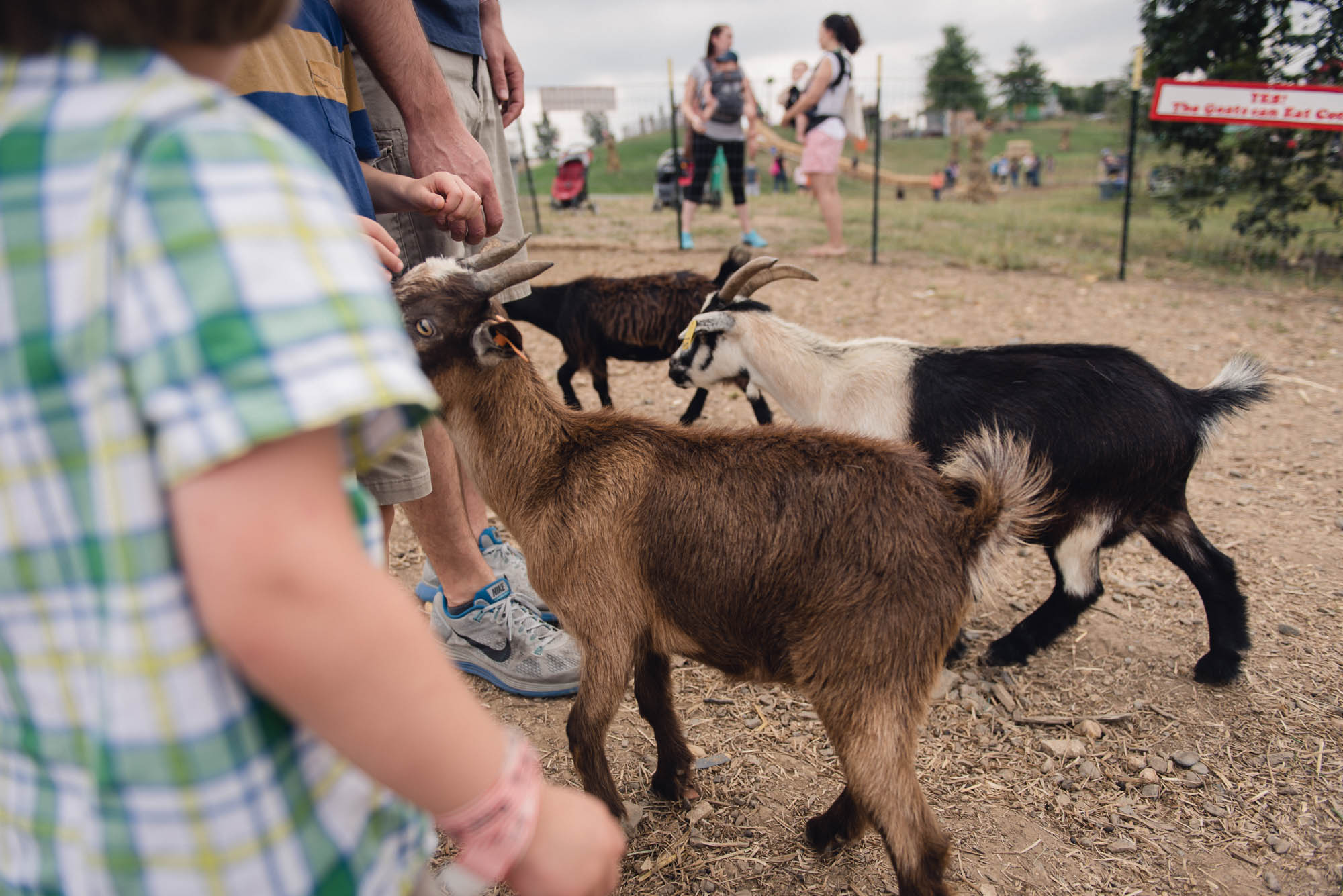 pictures of fall farm activities in Virginia by megan cieloha