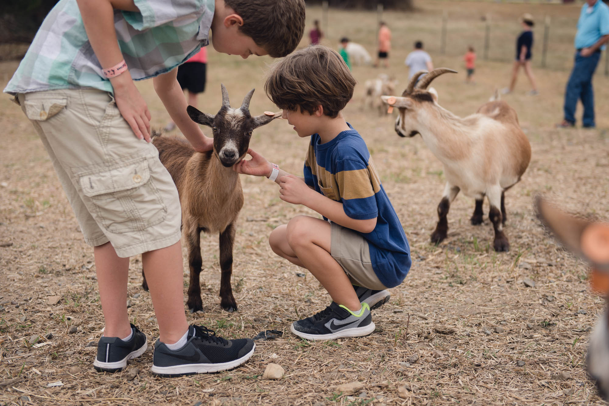 pictures of fall farm activities in Virginia by megan cieloha