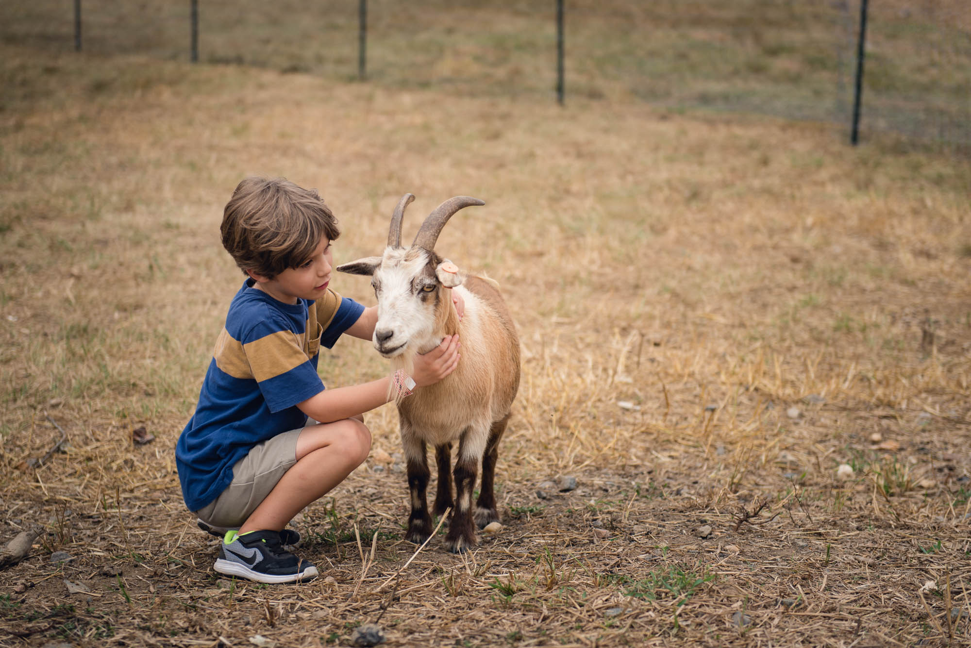 pictures of fall farm activities in Virginia by megan cieloha