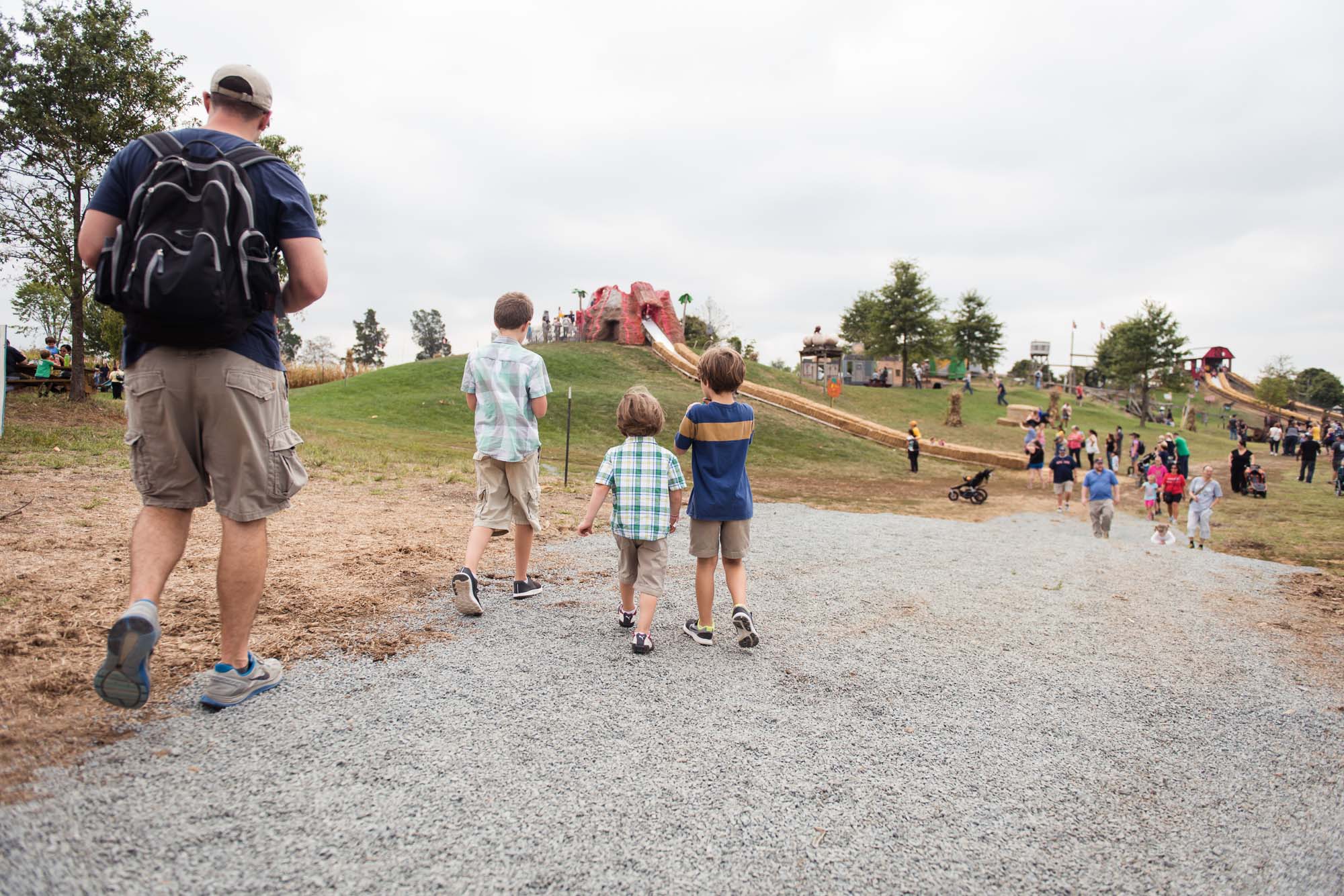 pictures of fall farm activities in Virginia by megan cieloha