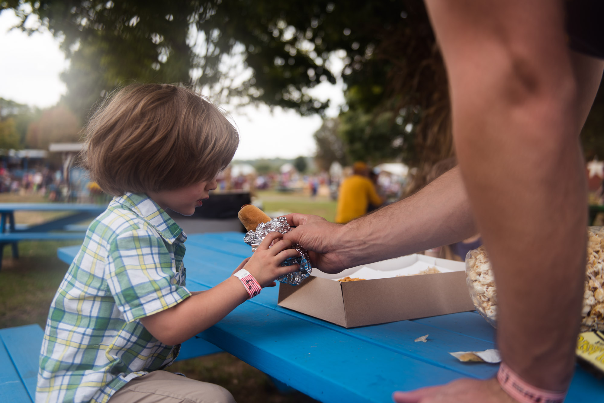 pictures of fall farm activities in Virginia by megan cieloha