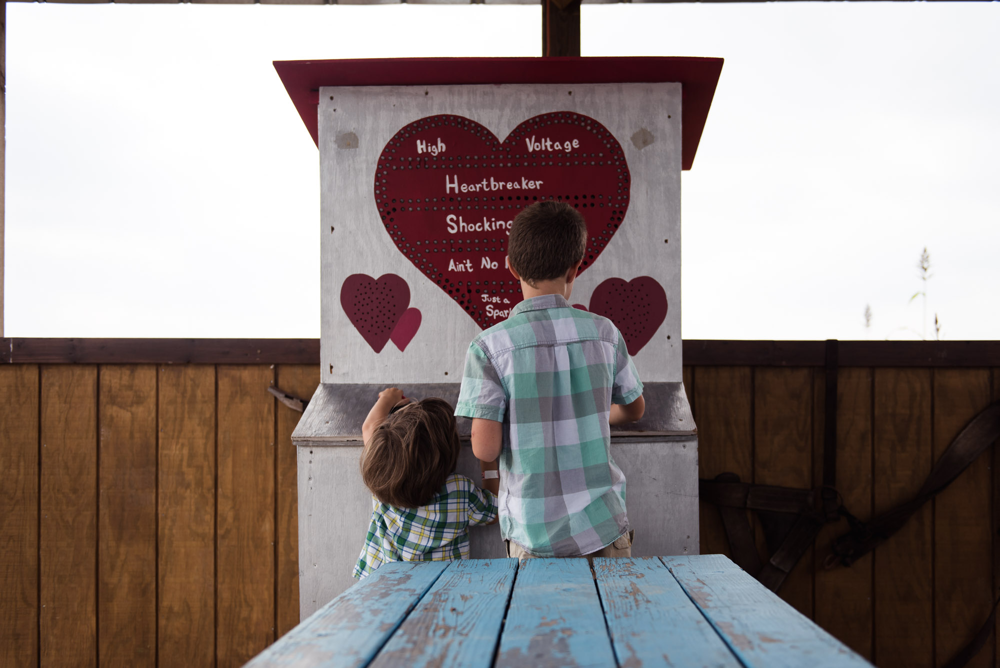 pictures of fall farm activities in Virginia by megan cieloha