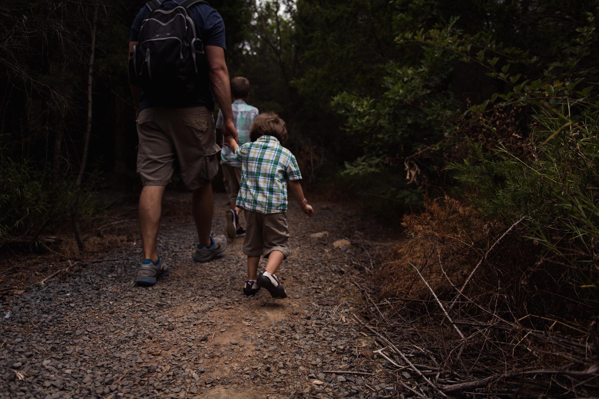 pictures of fall farm activities in Virginia by megan cieloha