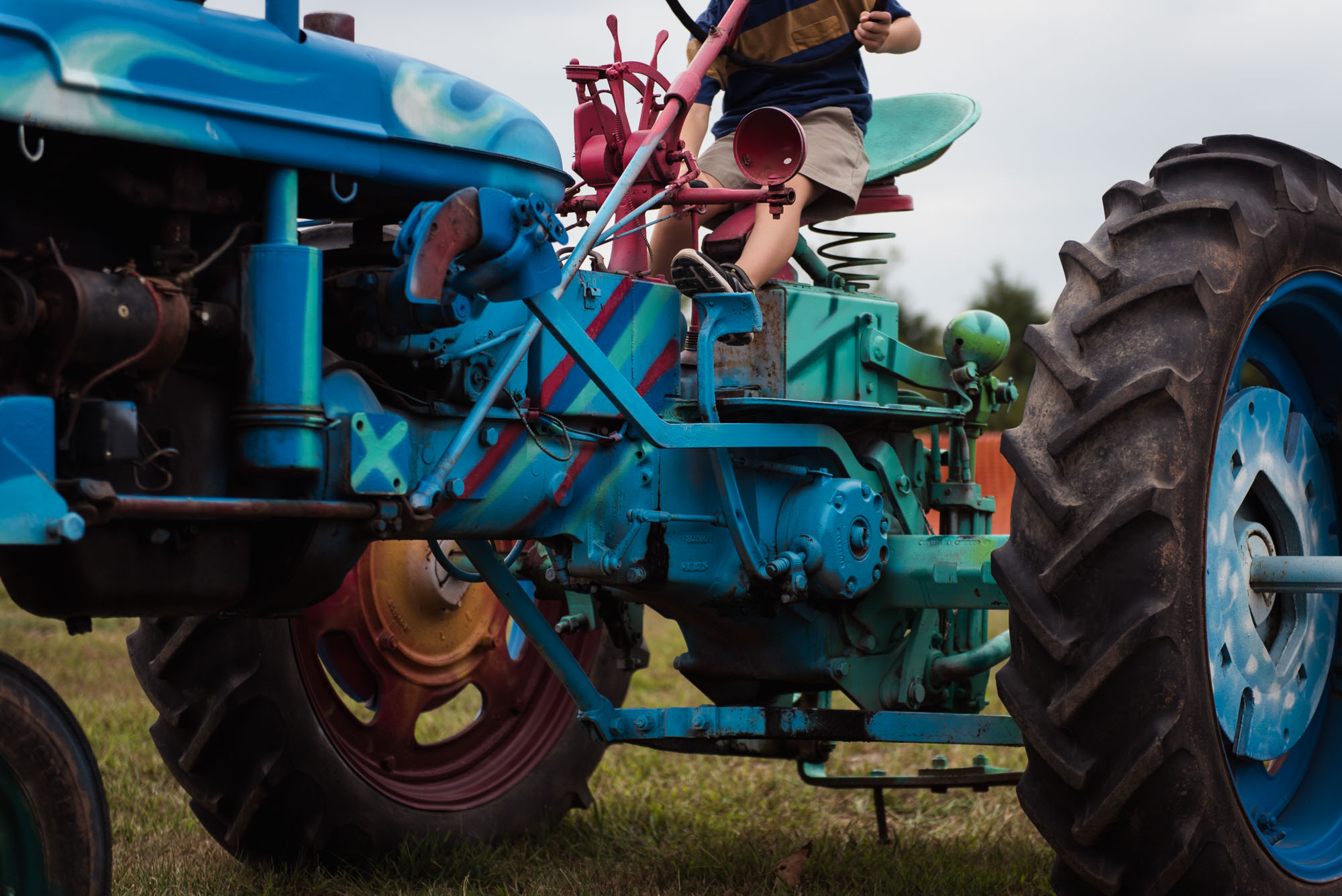 pictures of fall farm activities in Virginia by megan cieloha