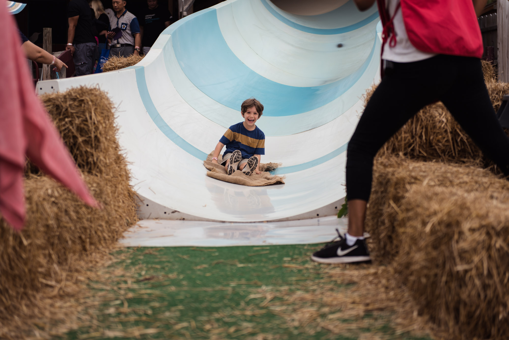 pictures of fall farm activities in Virginia by megan cieloha