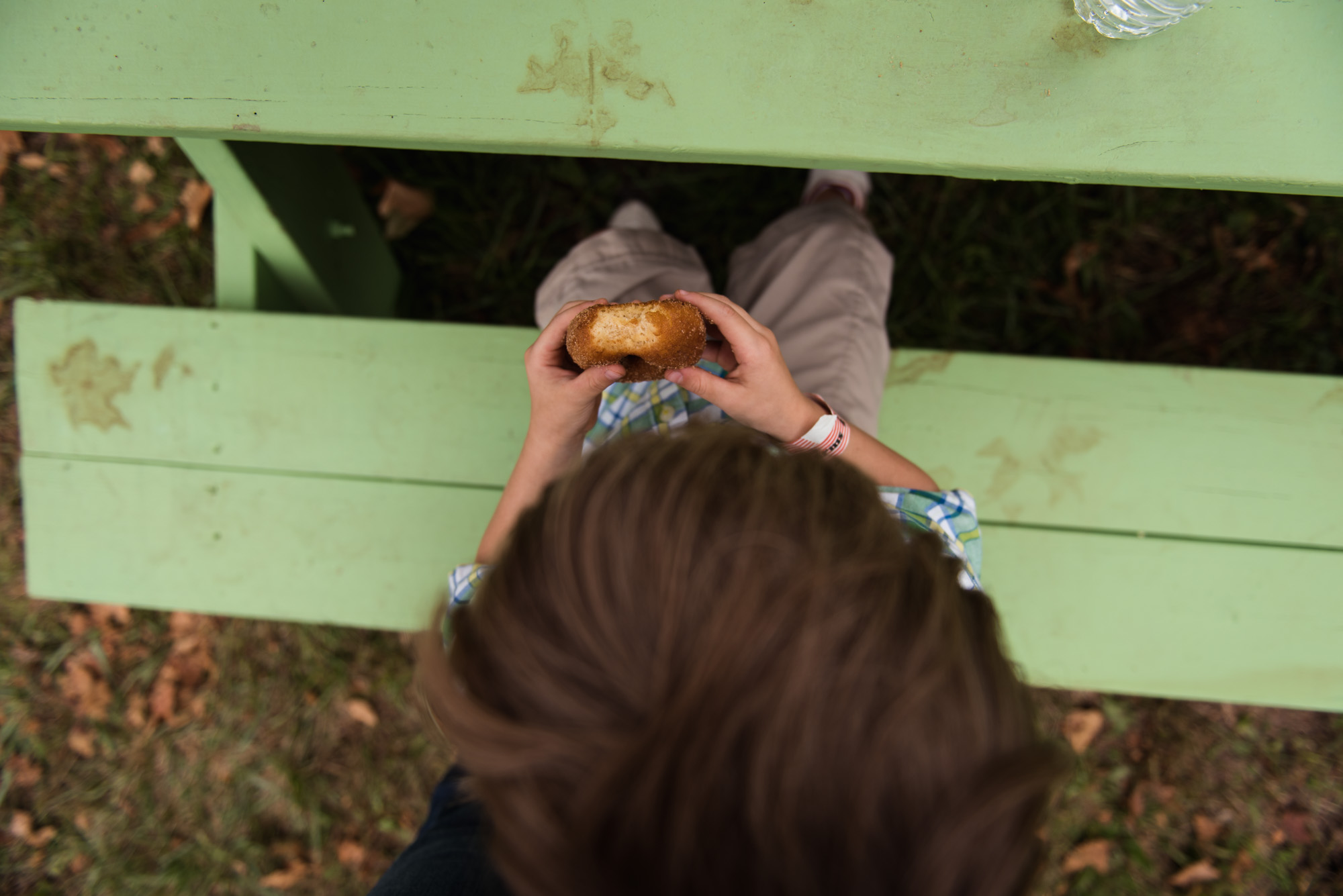 pictures of fall farm activities in Virginia by megan cieloha