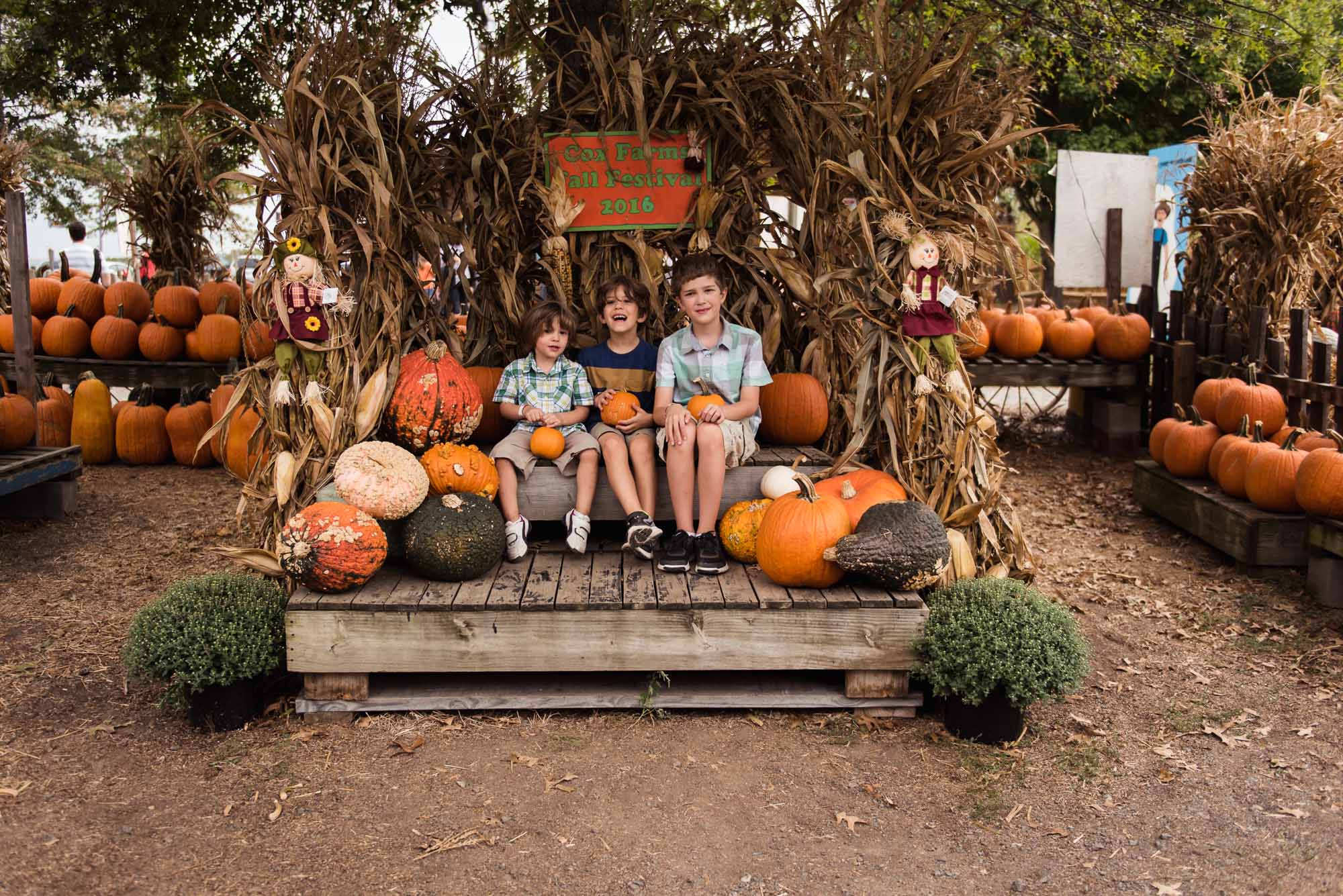 pictures of fall farm activities in Virginia by megan cieloha