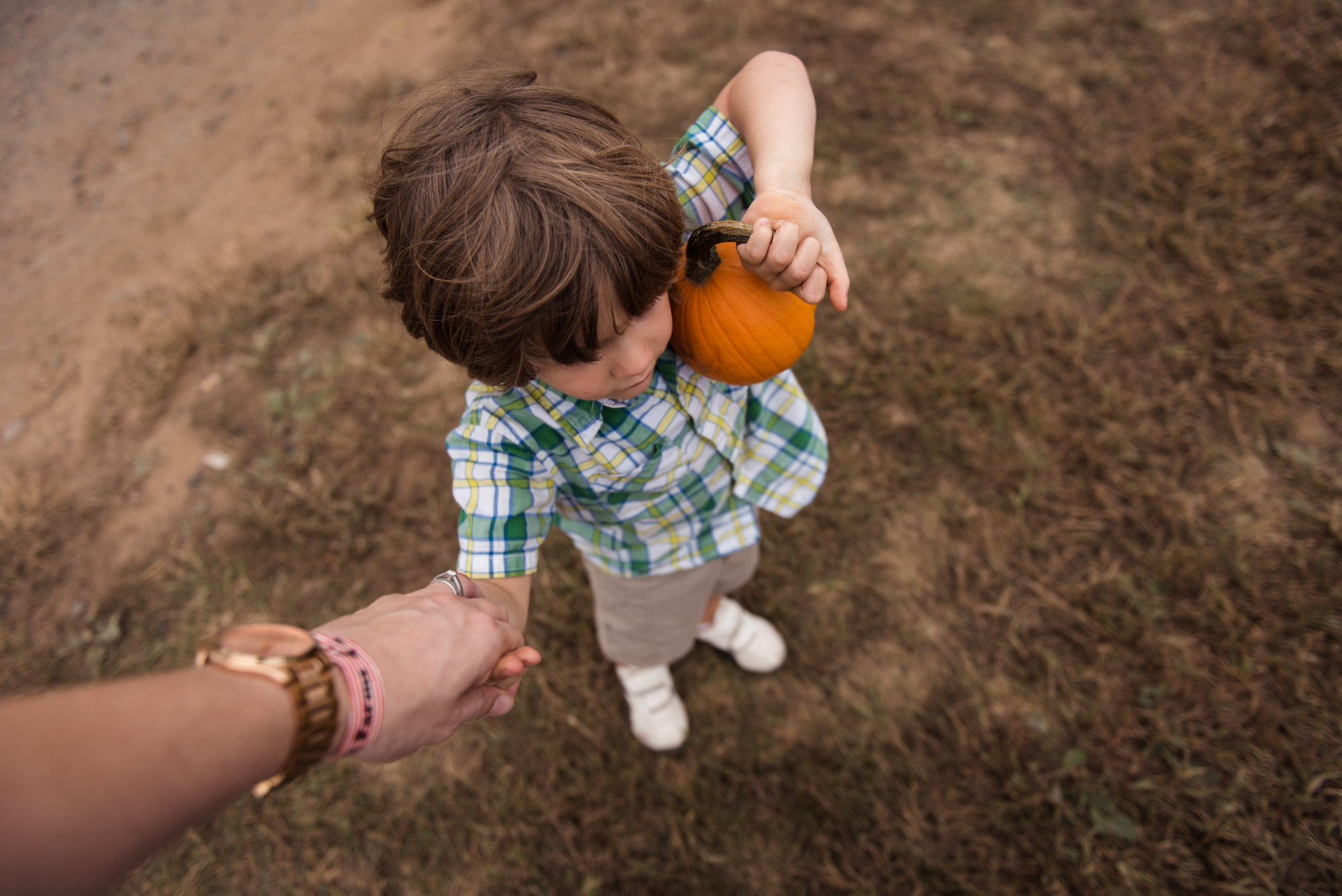 pictures of fall farm activities in Virginia by megan cieloha