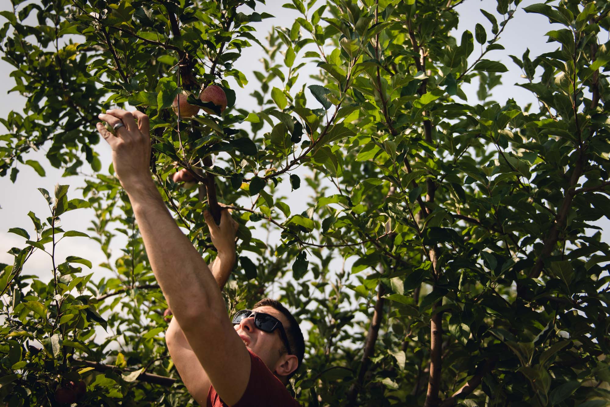 pictures of fall farm activities in Virginia by megan cieloha