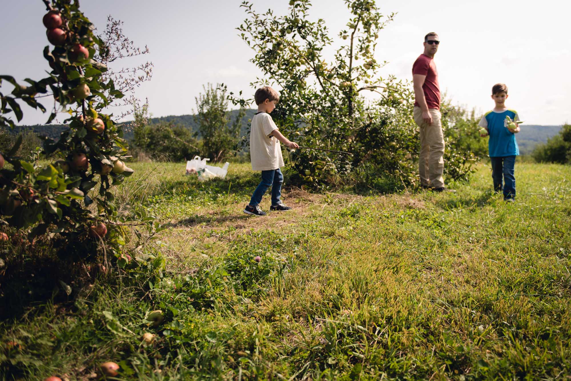 pictures of fall farm activities in Virginia by megan cieloha