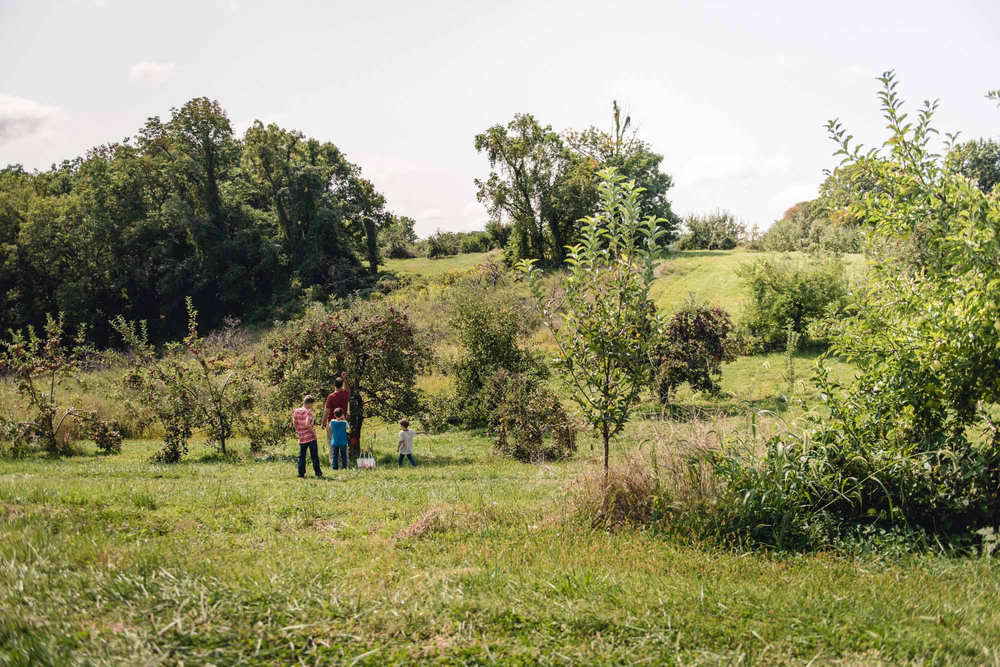 pictures of fall farm activities in Virginia by megan cieloha