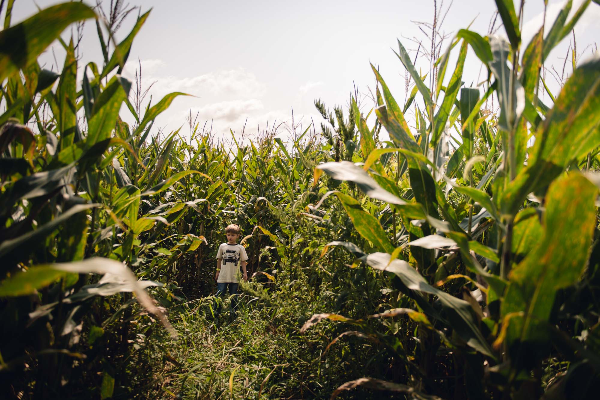 pictures of fall farm activities in Virginia by megan cieloha