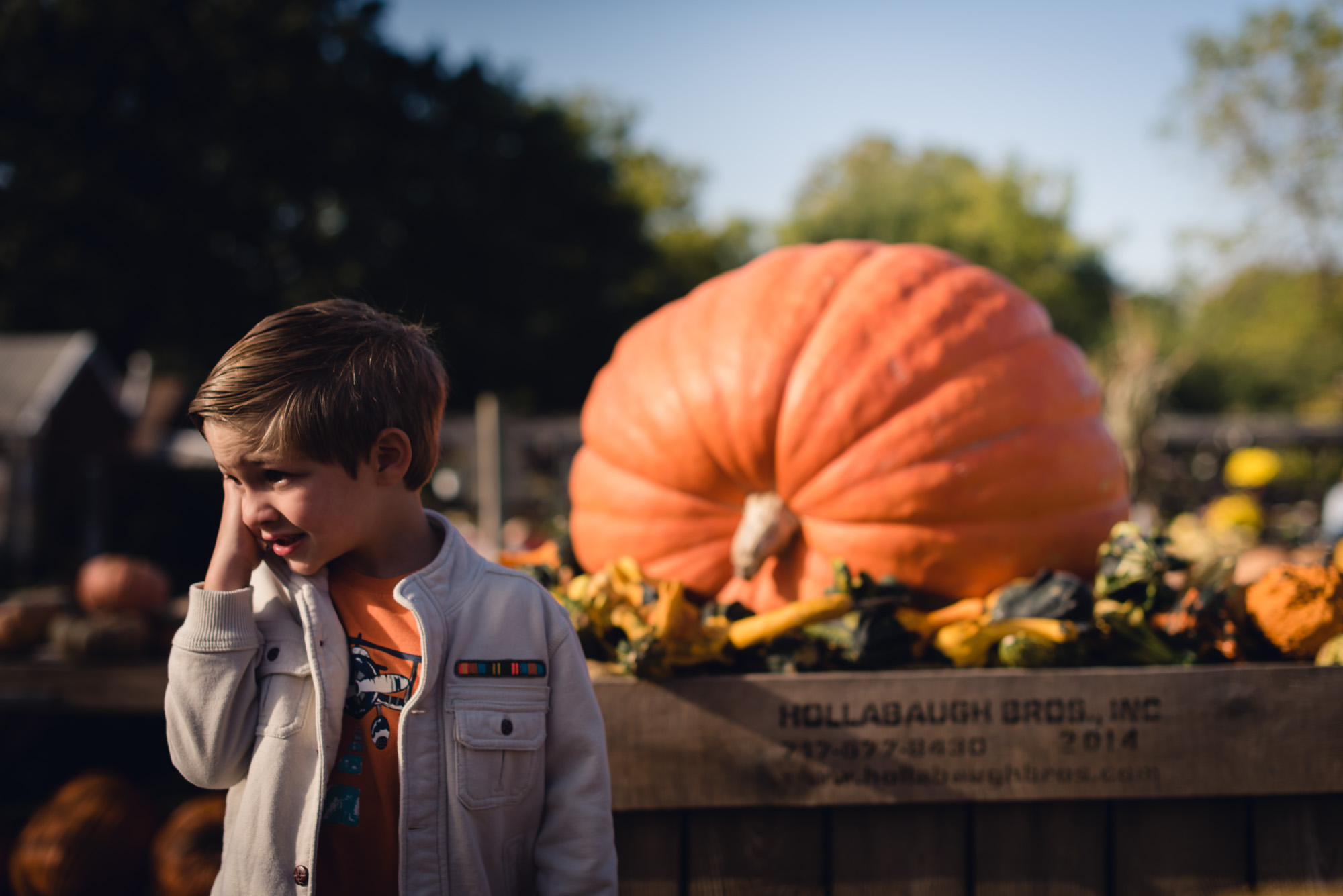 pictures of fall farm activities in Virginia by megan cieloha