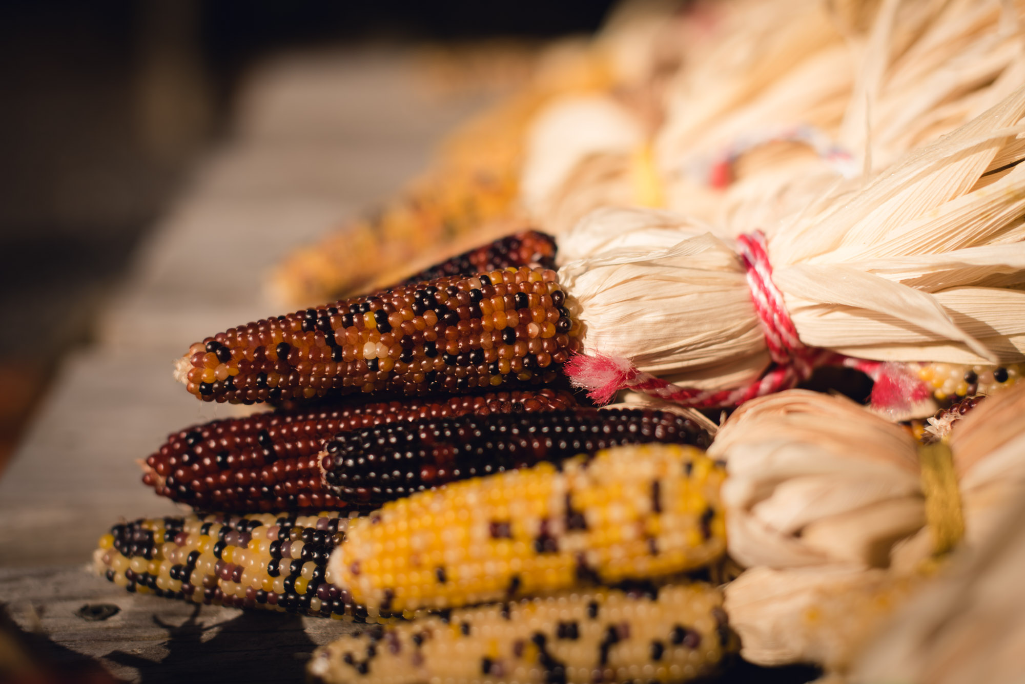 pictures of fall farm activities in Virginia by megan cieloha