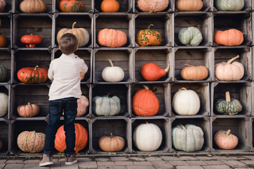 pictures of fall farm activities in Virginia by megan cieloha