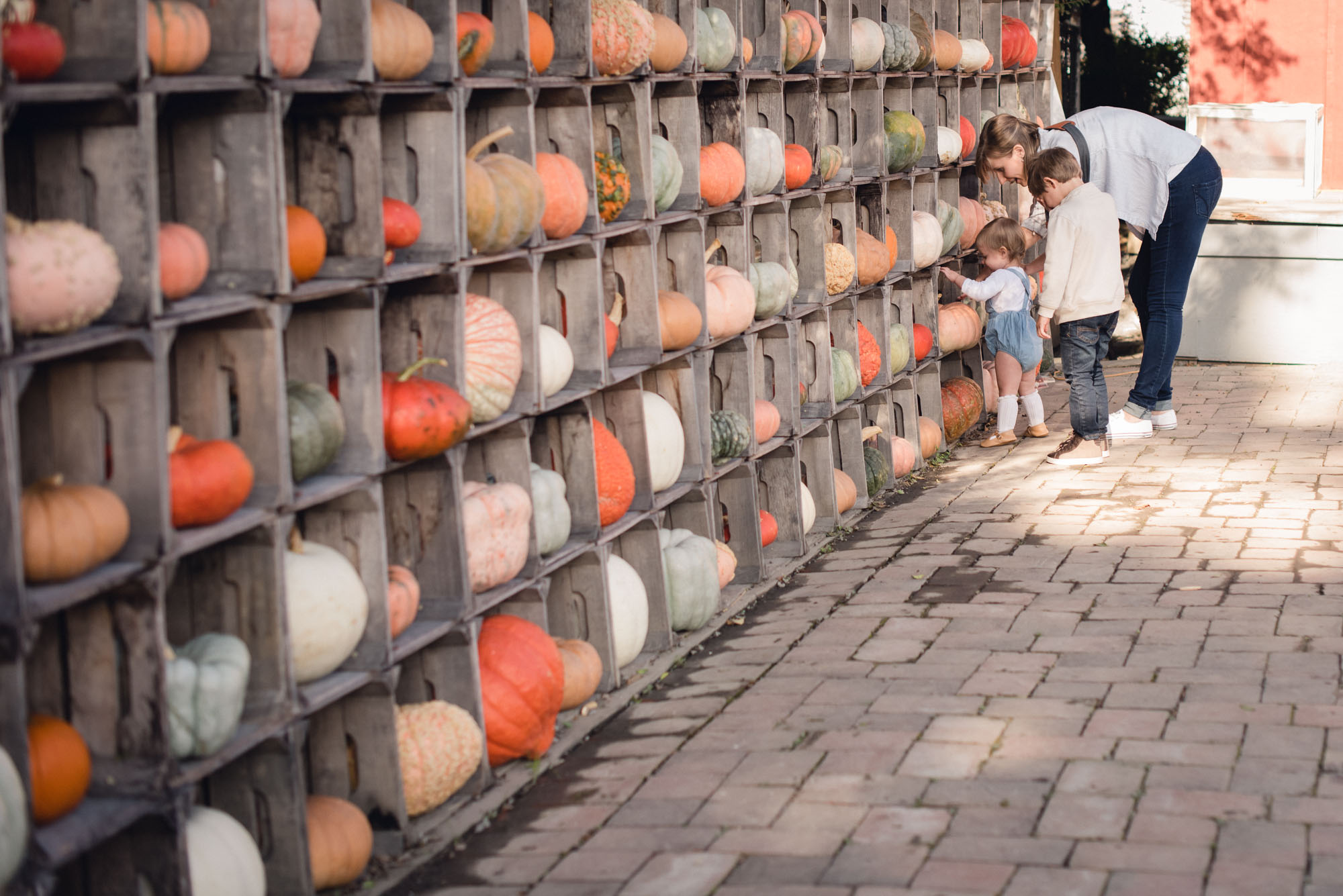 pictures of fall farm activities in Virginia by megan cieloha