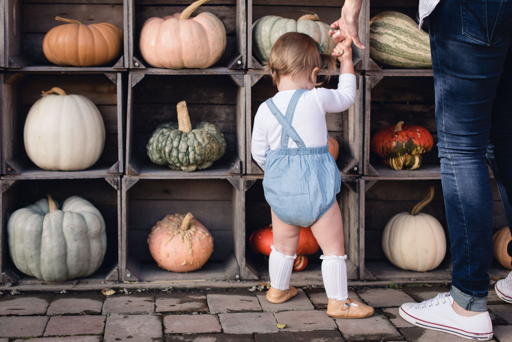 pictures of fall farm activities in Virginia by megan cieloha