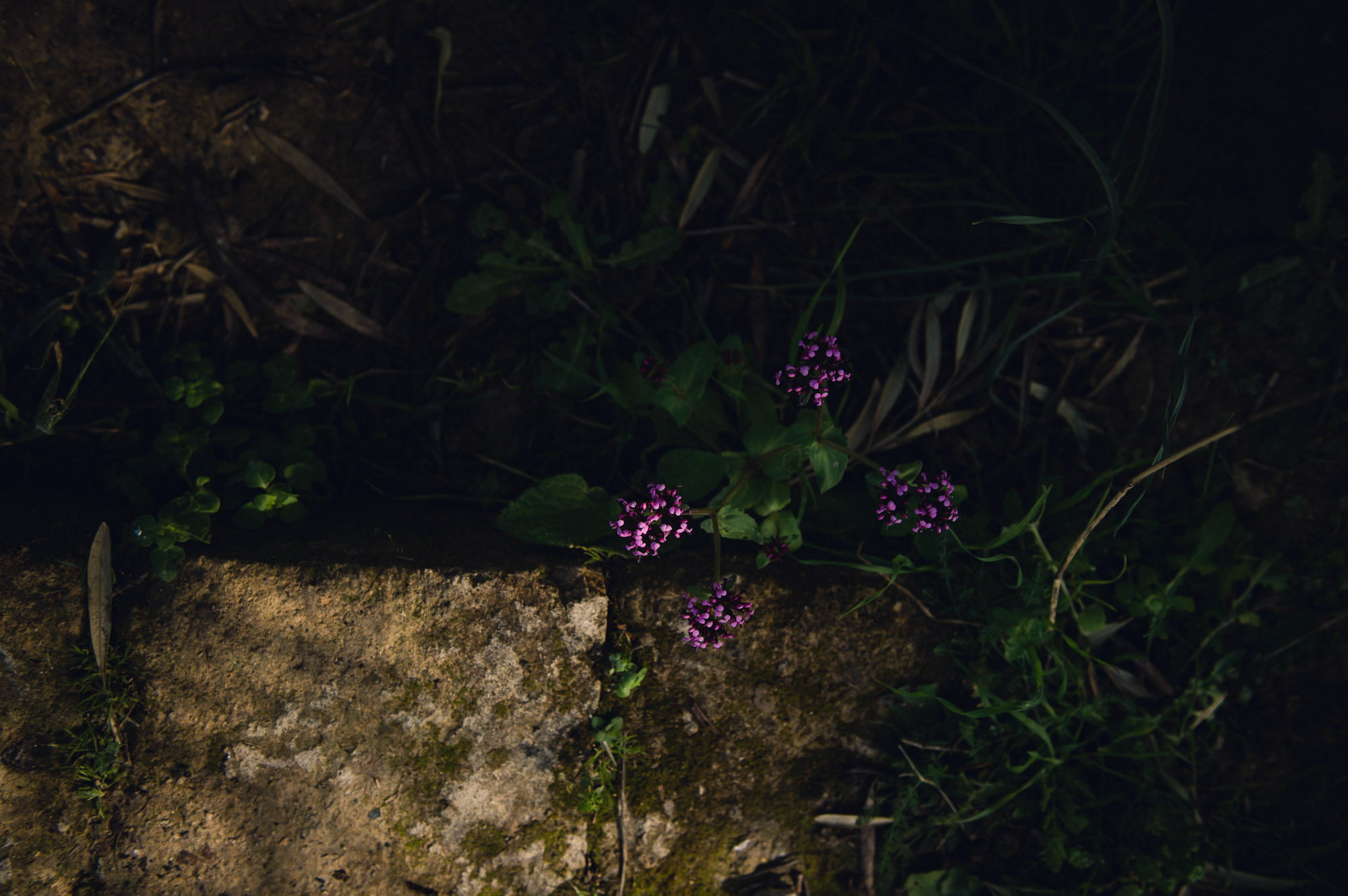 photo by megan cieloha-2-23