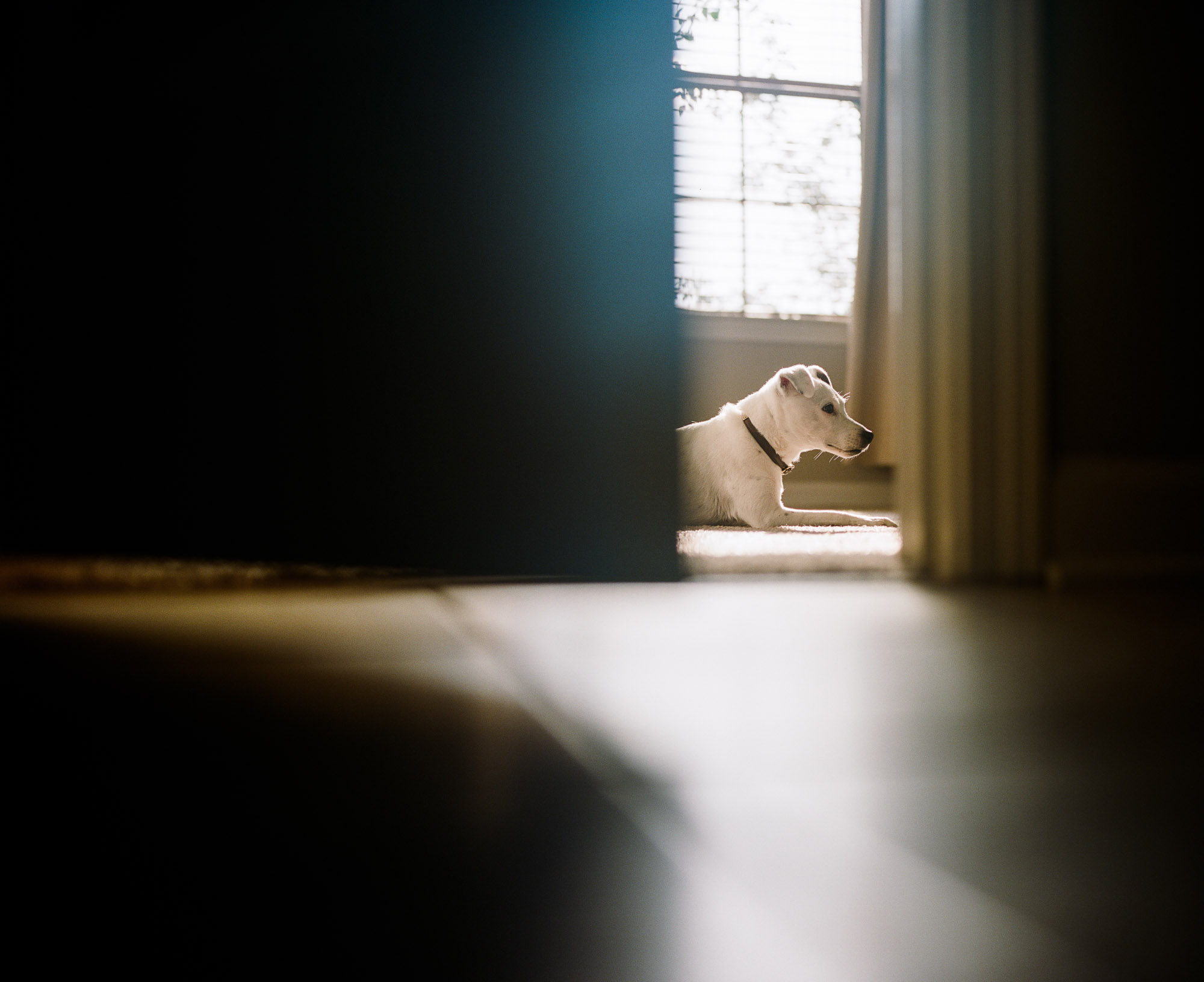 photo by megan cieloha-2-31